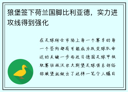 狼堡签下荷兰国脚比利亚德，实力进攻线得到强化