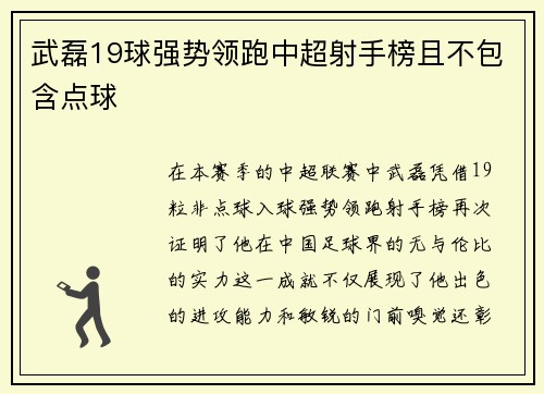 武磊19球强势领跑中超射手榜且不包含点球