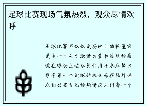 足球比赛现场气氛热烈，观众尽情欢呼